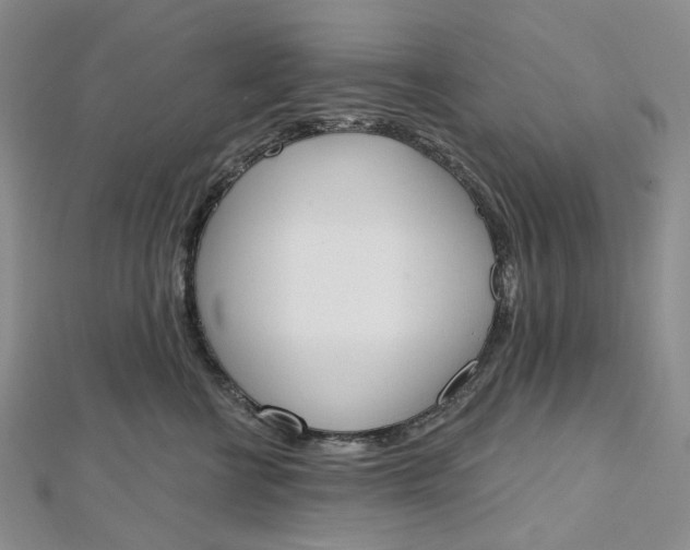 X0000112500570200908311454