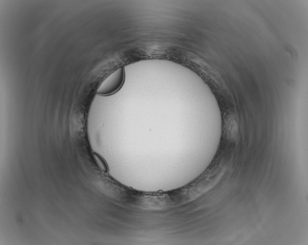 X0000112500571200908311454