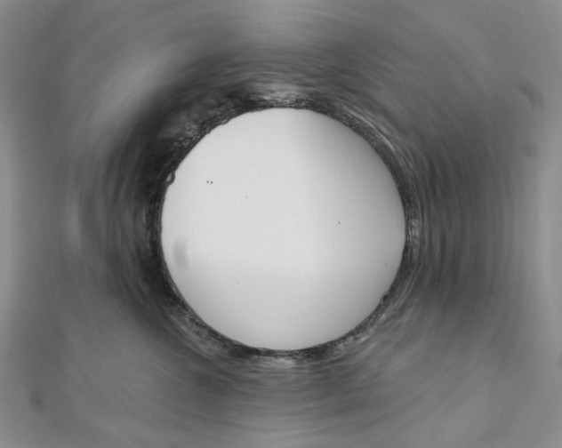 X0000112500572200908311454