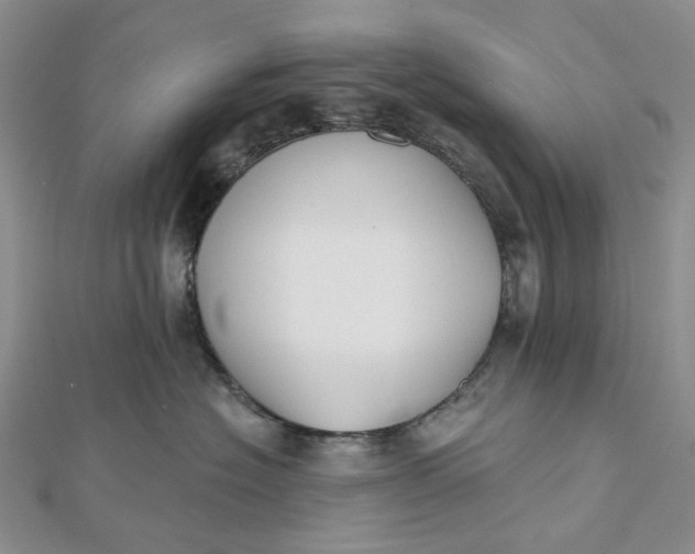 X0000112500574200908311454