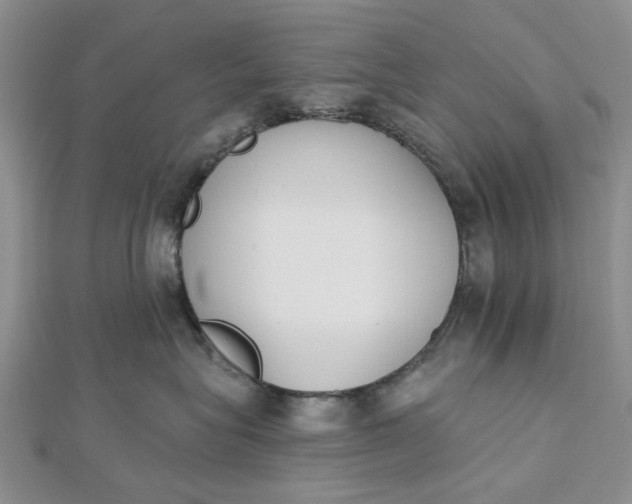 X0000112500575200908311454