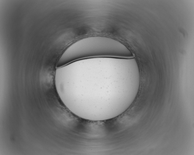 X0000112500576200908311454