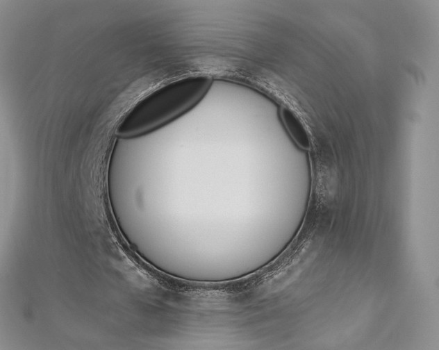 X0000112500577200908311454