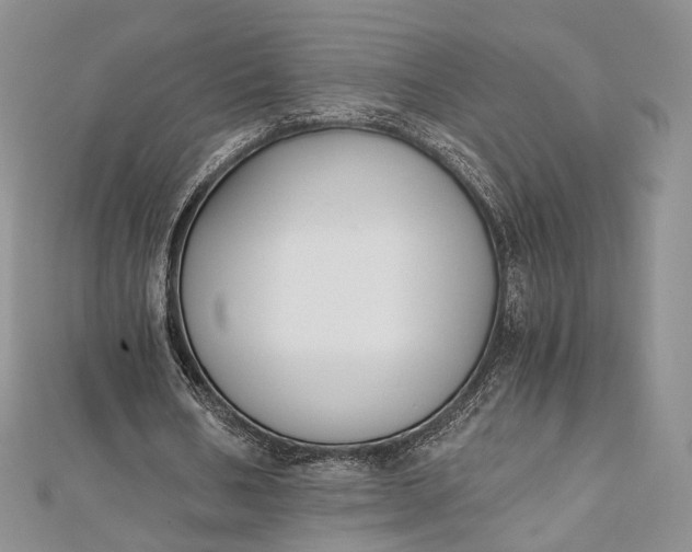 X0000112500578200908311454