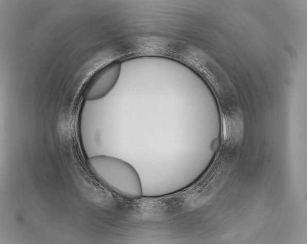 X0000112500579200908311454