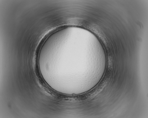 X0000112500580200908311454