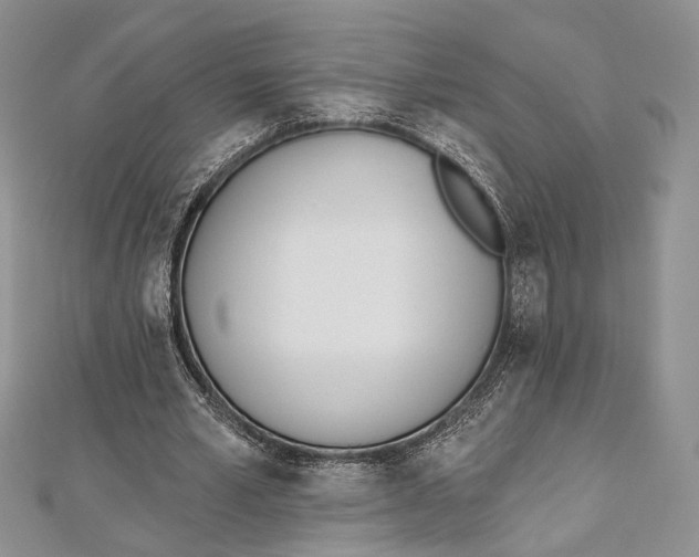 X0000112500581200908311454