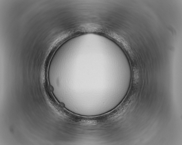 X0000112500582200908311454