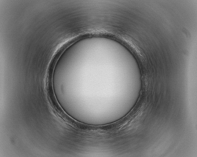 X0000112500583200908311454