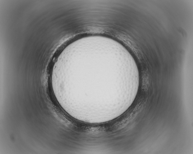 X0000112500584200908311454