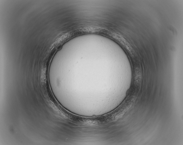 X0000112500585200908311454