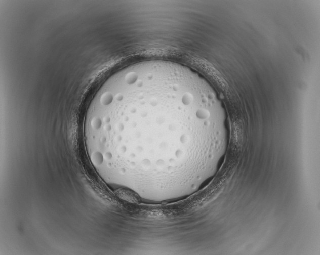 X0000112500588200908311454