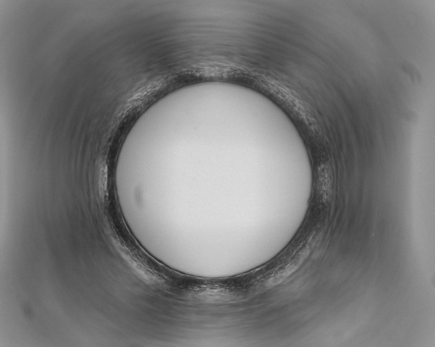 X0000112500589200908311454