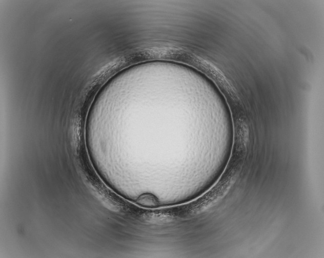 X0000112500590200908311454