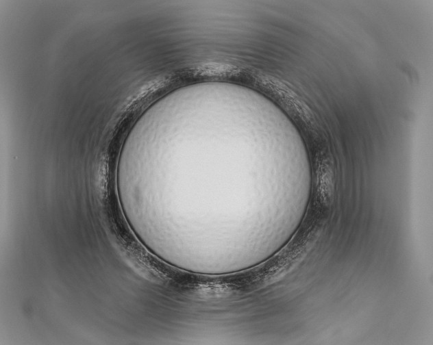 X0000112500591200908311454