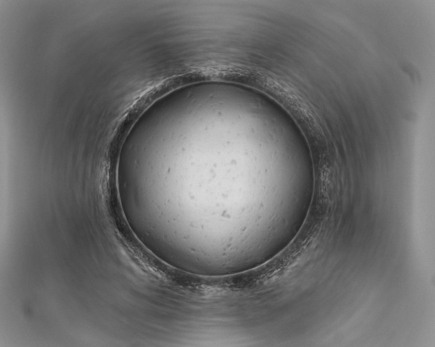 X0000112500592200908311454