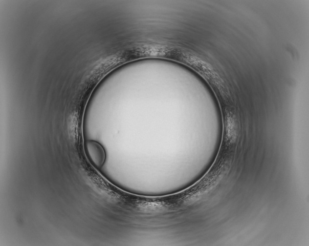 X0000112500594200908311454