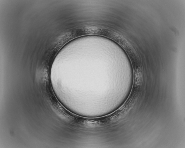 X0000112500598200908311454