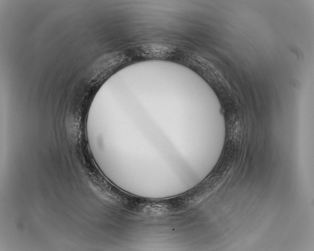 X0000112500599200908311454