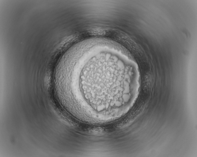 X0000112500600200908311454