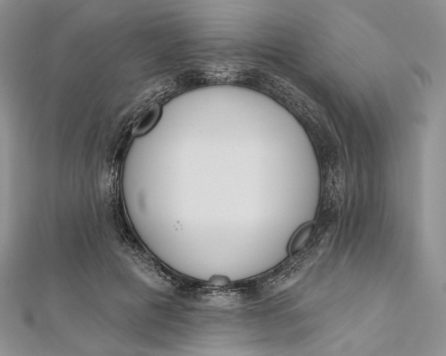 X0000112500601200908311454