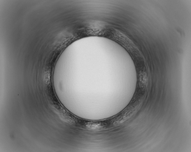 X0000112500602200908311453