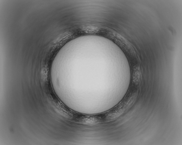 X0000112500604200908311453