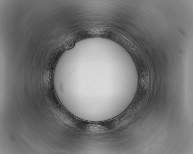 X0000112500605200908311453