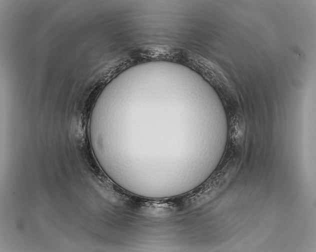 X0000112500607200908311453