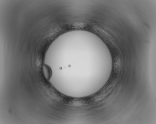 X0000112500608200908311453