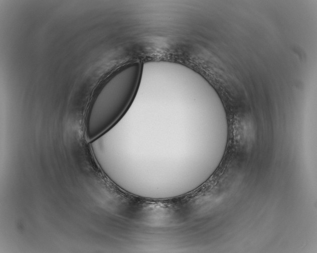 X0000112500611200908311453