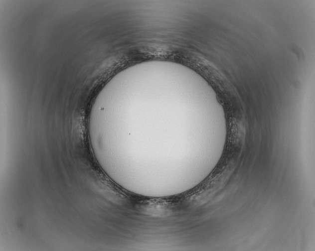 X0000112500612200908311453