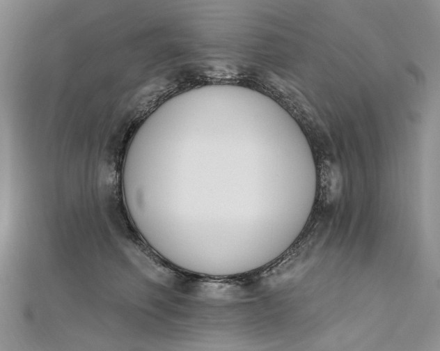 X0000112500614200908311453