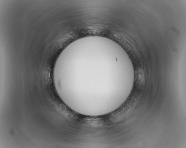 X0000112500615200908311453