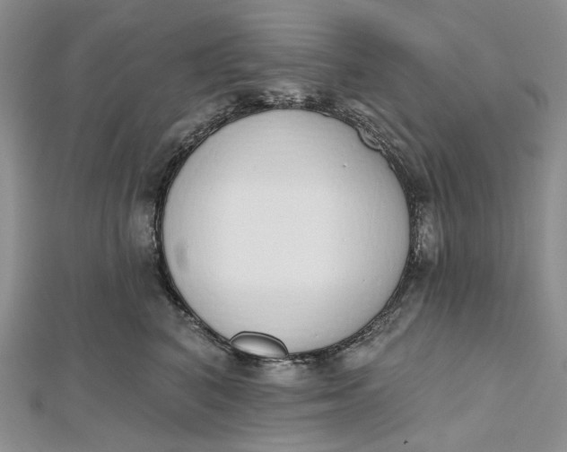 X0000112500616200908311453