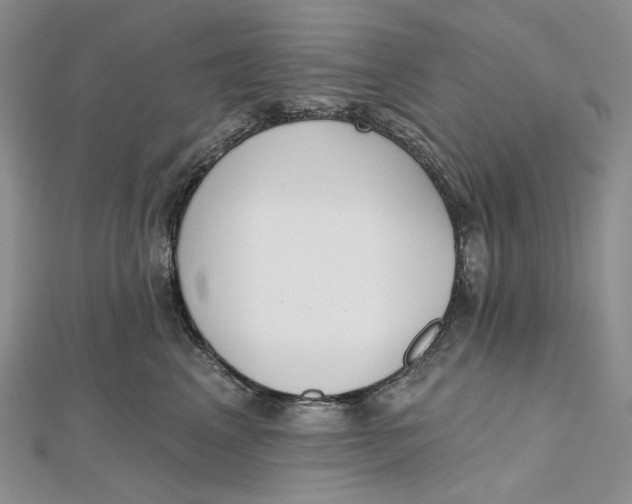 X0000112500617200908311453