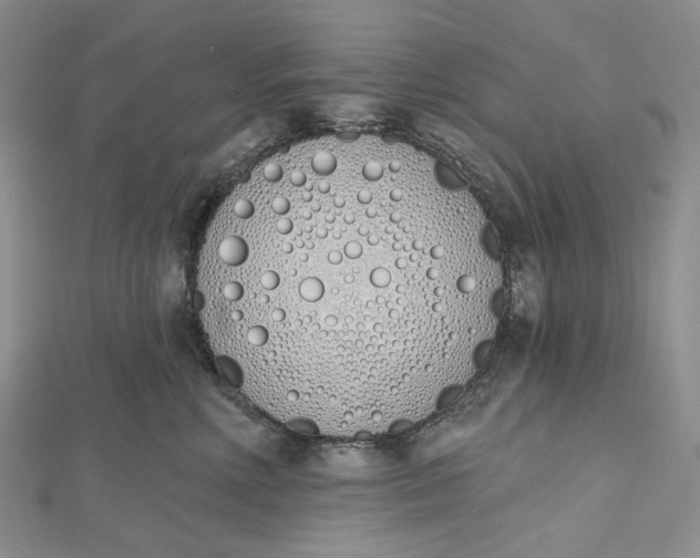 X0000112500618200908311453