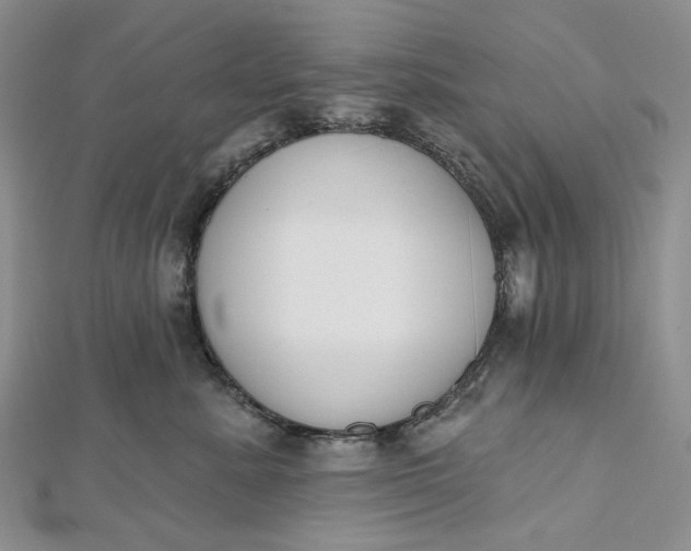 X0000112500619200908311453