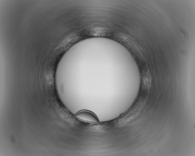 X0000112500620200908311453