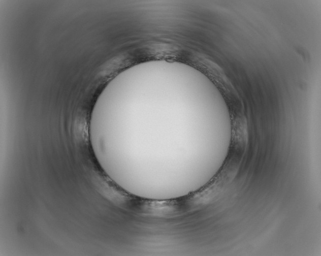 X0000112500622200908311453