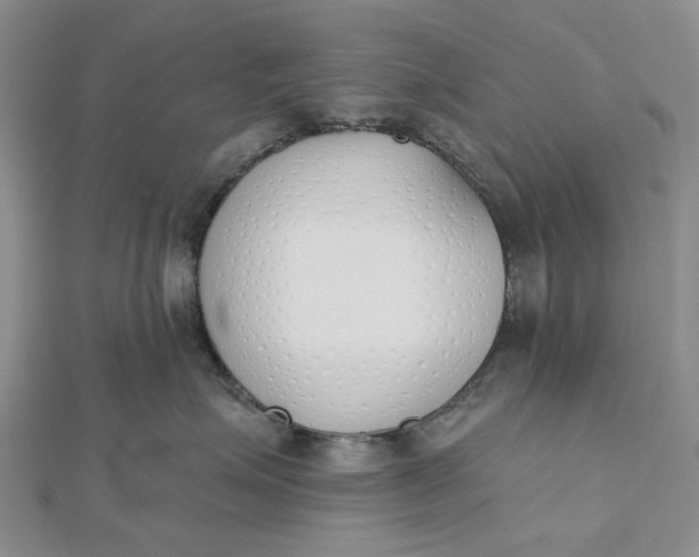 X0000112500623200908311453