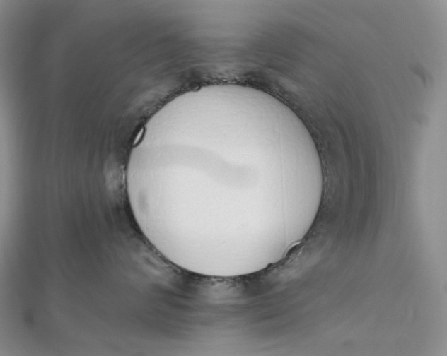 X0000112500624200908311453