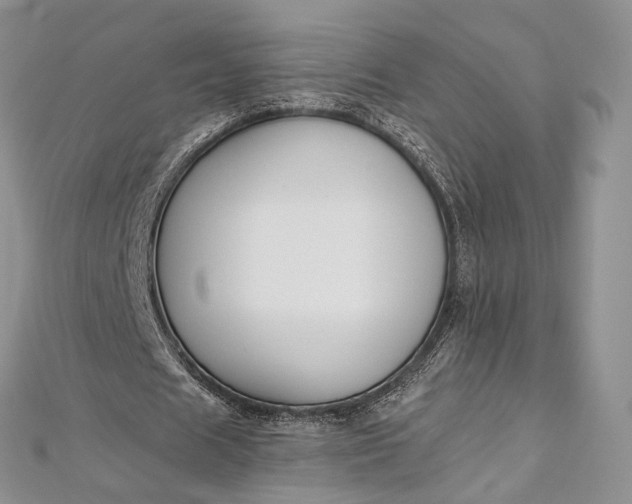 X0000112500625200908311453