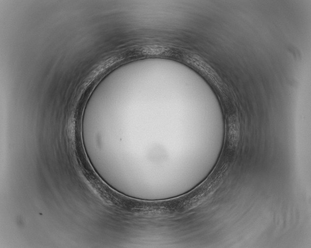 X0000112500626200908311453