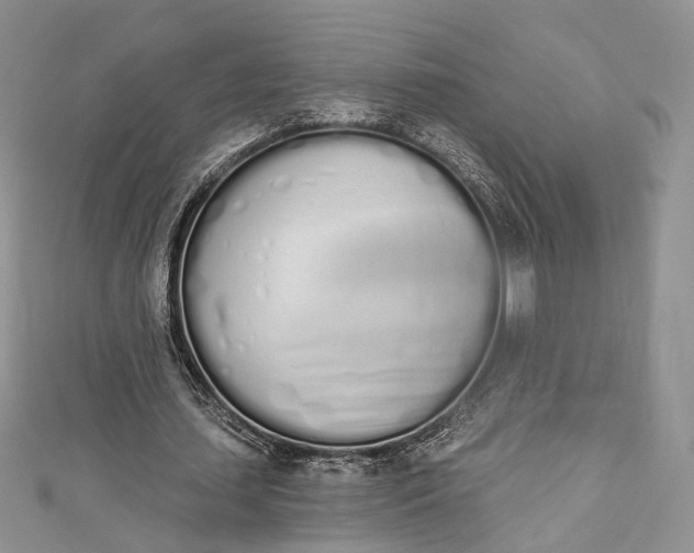 X0000112500627200908311453