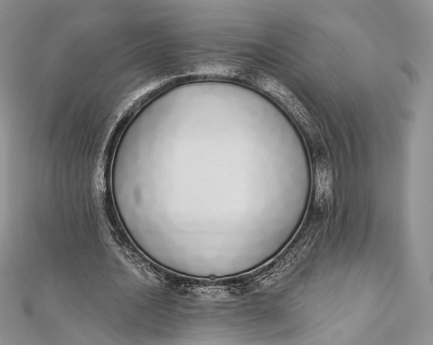 X0000112500628200908311453