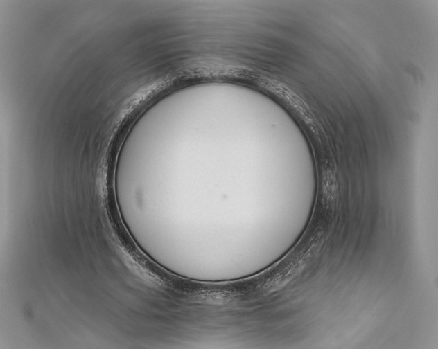 X0000112500629200908311453