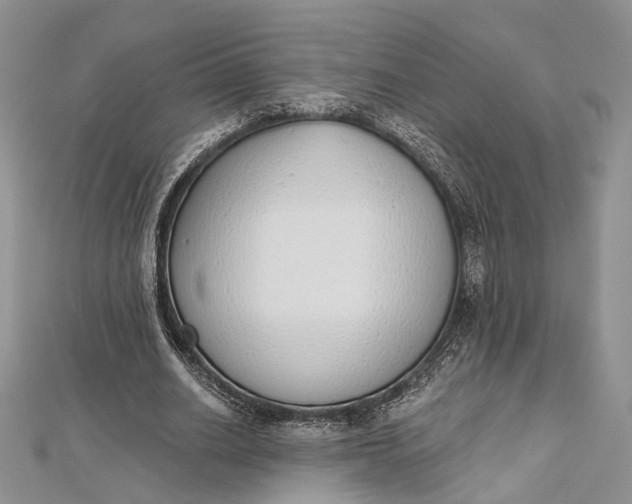 X0000112500630200908311453