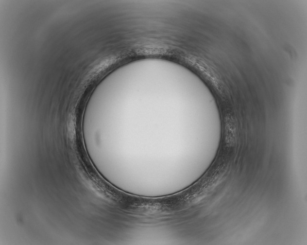 X0000112500631200908311453