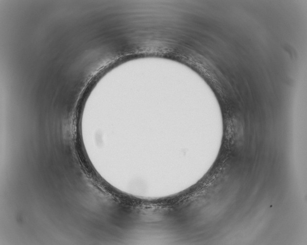 X0000112500632200908311453